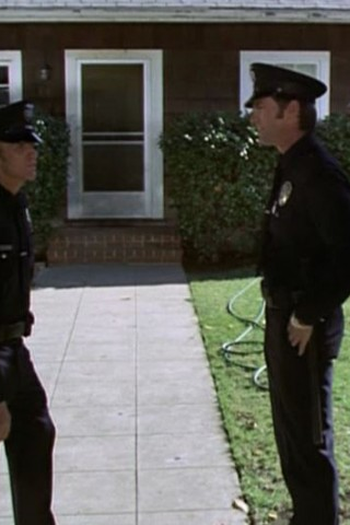 Poster de Episódio Citizen with Gun (1975)