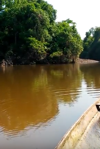 Poster 1 de Curta Águas do Juruá (2015)