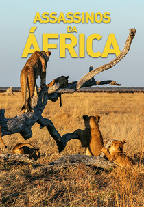 Assassinos da África (Assassinos da África)