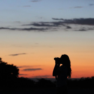 Foto de perfil de wilmara