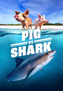 Porco Vs. Tubarão (Pig vs. Shark)