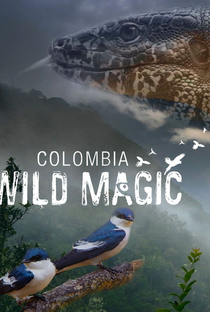 Colombia Wild Magic - Poster / Capa / Cartaz - Oficial 2