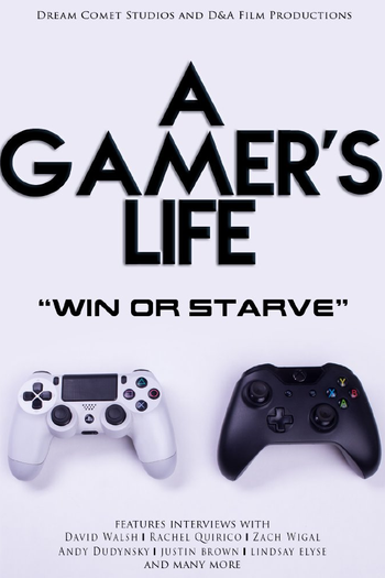 Poster de Filme A Gamer's Life (2016)