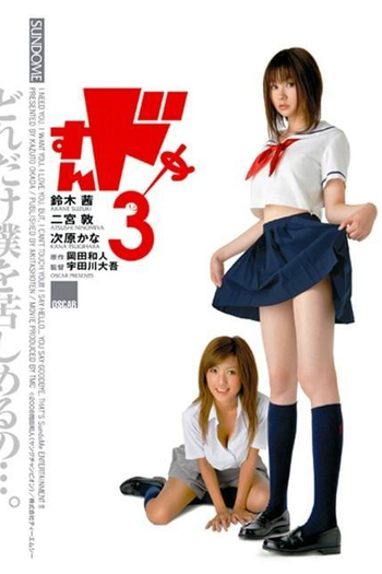 Poster de Filme Sundome 3 (2008)