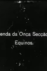 Fazenda da Onça (Fazenda da Onça)