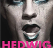 Hedwig and the Angry Inch (musical)