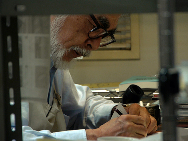 Foto 1 de Estúdio Ghibli, Reino de Sonhos e Loucura