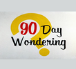 90 Day Wondering