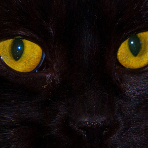 Foto de perfil de stela