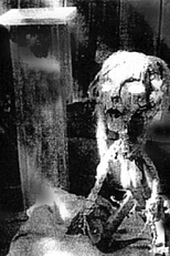 Les escarpins sauvages (Les escarpins sauvages)