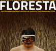 Fogo na Floresta