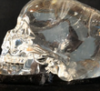 Crystal Skull Obsession