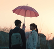 증거
