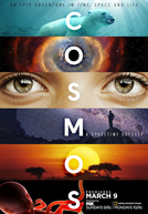 Cosmos: Uma Odisséia No Espaço Tempo (Cosmos: A Spacetime Odyssey)