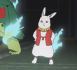 兎と亀