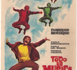 Tutto è Musica