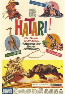 Hatari! (Hatari!)