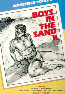 Boys in the Sand II (Boys in the Sand II)