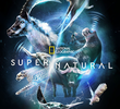 Super/Natural