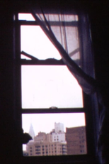 Windows (Windows)