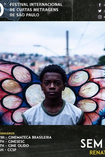  de Curta Sem Asas (2019)