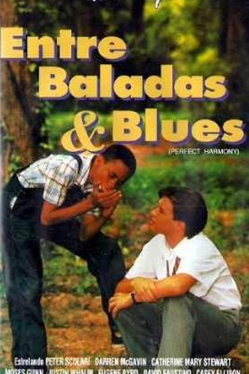 Poster de Filme Entre Baladas & Blues (1991)