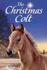 O Potro De Natal (The Christmas Colt)