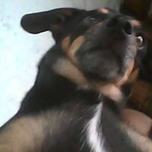 Foto de perfil de THE ALLAN JOHN