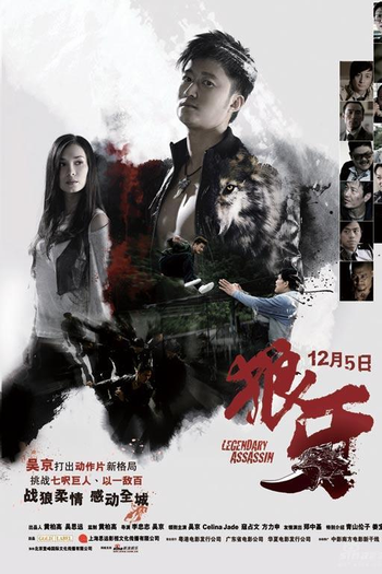 Poster de Filme Legendary Assassin (2008)