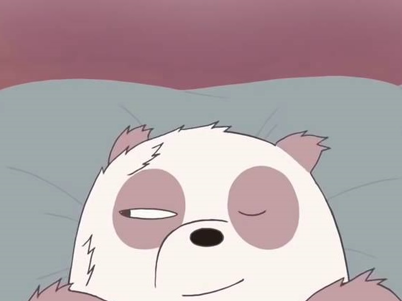 Foto 1 de We Bare Bears: Dreamium