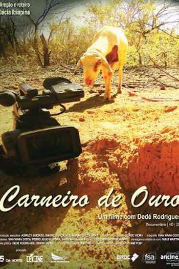 Poster de Curta Carneiro de Ouro (2017)
