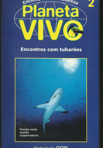 Planeta Vivo - Encontros com Tubarões (Planeta Vivo - Encontros com Tubarões)