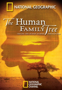 The Human Family Tree (The Human Family Tree)