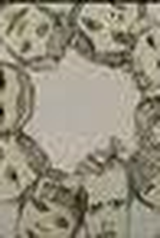 Poster 1 de Curta Manderlay (2007)