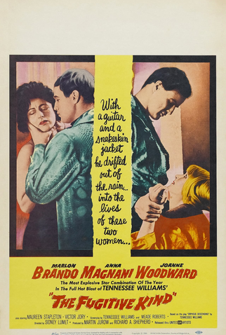 Poster 4 de Filme Vidas em Fuga (1960)