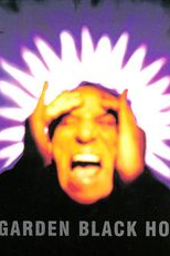 Soundgarden: Black Hole Sun (Soundgarden: Black Hole Sun)