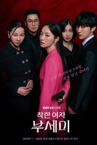 Poster 2 de Série Ms. Incognito (2025)