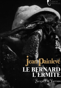 Le Bernard l'Ermite, crustacé marin (Le Bernard l'Ermite, crustacé marin)