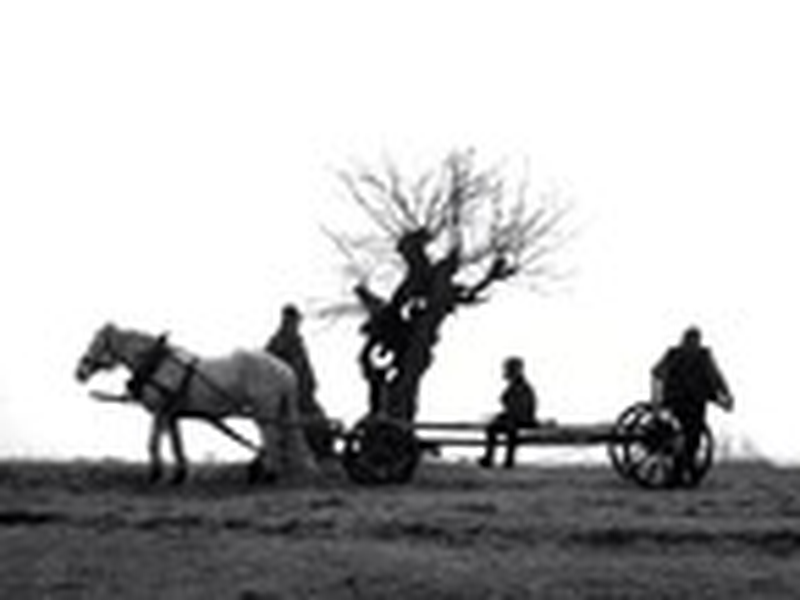 Foto 11 de Konopielka