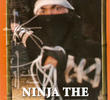 Ninja The Final Duel II