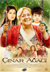 Cinar agaci (Çınar Ağacı)