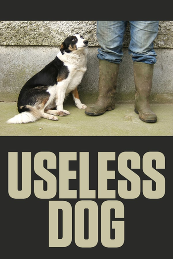Poster de Curta Useless Dog (2004)