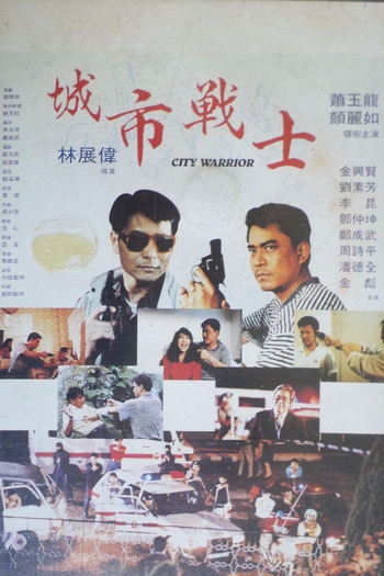Poster de Filme City Warrior (1991)