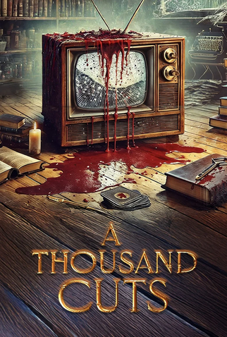 Poster 1 de Filme A Thousand Cuts (2024)
