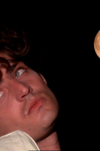 Poster de Filme O Gato (2004)