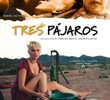 Tres Pájaros