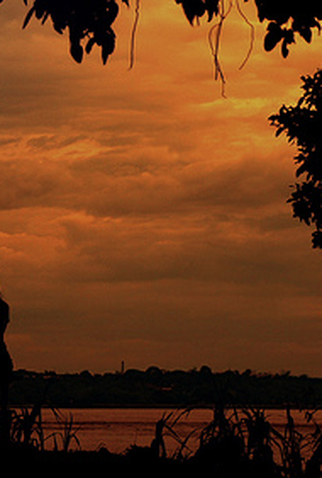 Poster 1 de Curta Quimera (2013)