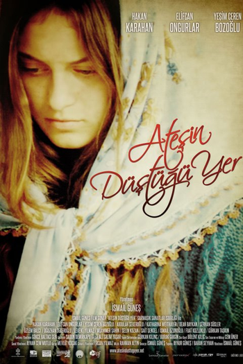 Poster de Filme Atesin düstügü yer (2012)