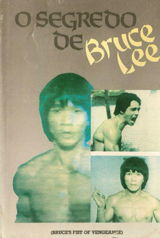 Poster 2 de Filme O Segredo de Bruce Lee (1980)