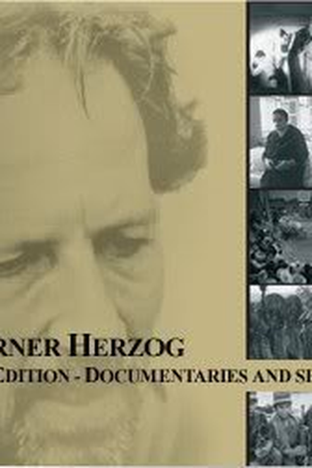  de Curta Últimas Palavras (1968)